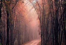 世界杯官方买球app -南(nán)京航空航天大学明确体测未达标者不(bù)予毕业