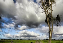 合法买球app -北京长辛店街道(dào)召开2026年(nián)反(fǎn)詐(zhà)宣防活动